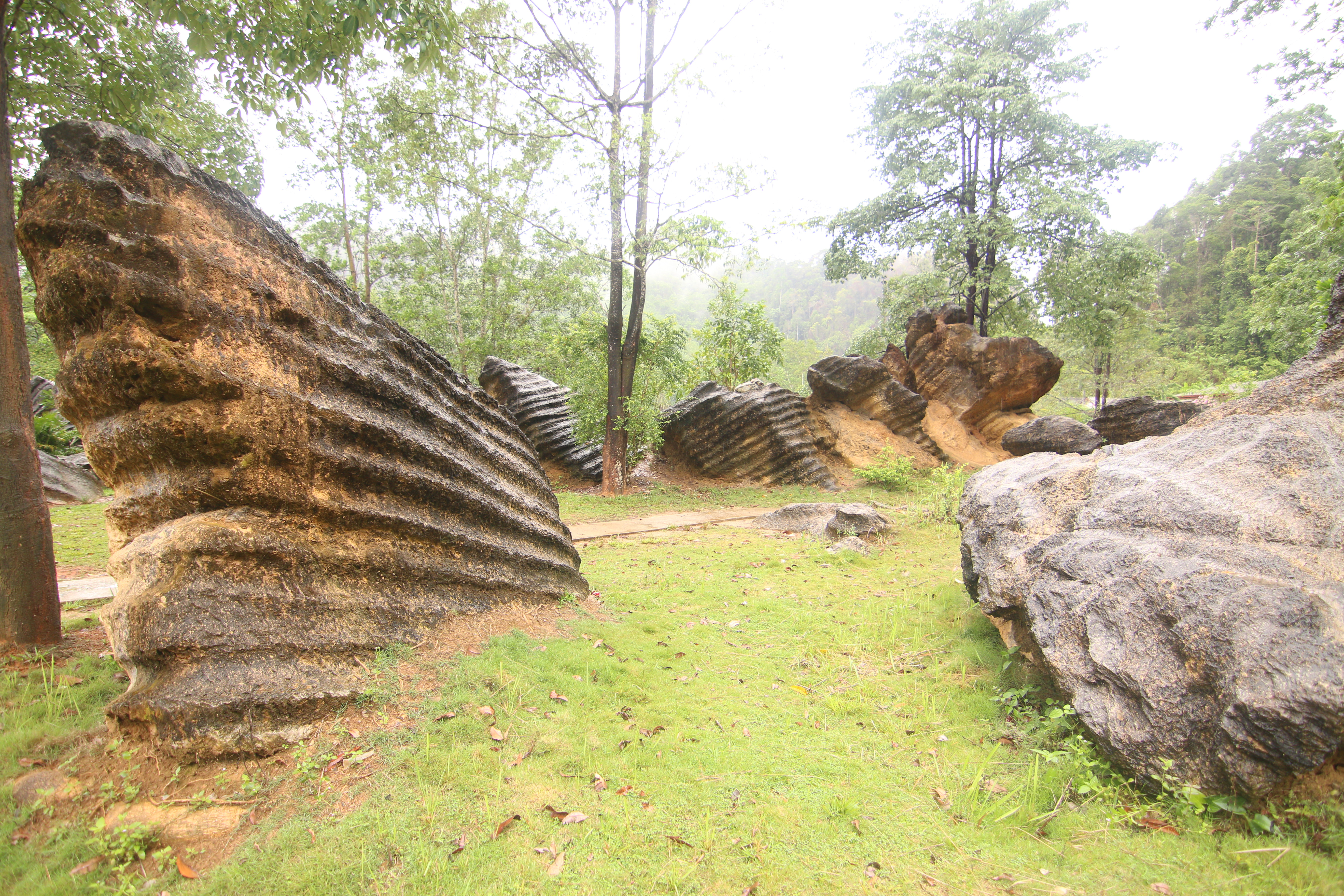 ลานหินป่าพน